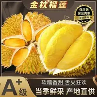 泰国进口金枕榴莲带壳发货核小皮薄肉厚干包鲜榴莲 生切无售后