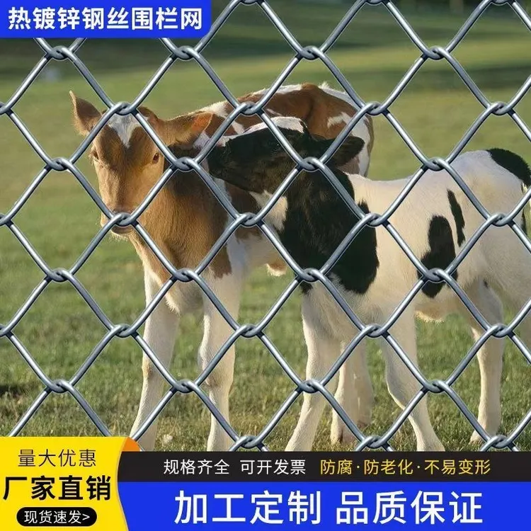 热镀锌钢丝勾花网养殖鸡鸭铁丝网拦牛羊果园围网养狗菱形网隔离网