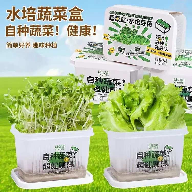 【新疆包邮】儿童种植水培盒植物盆栽发芽育苗观察植物生长无土栽培