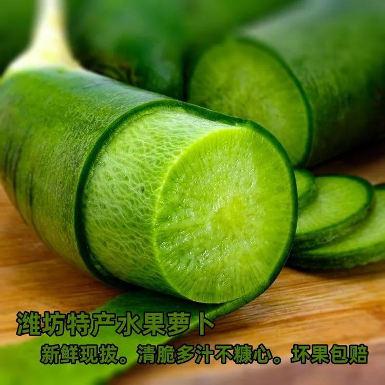 潍坊特产新鲜水果萝卜营养丰富产地直发清脆多汁微辣爽口经济实惠
