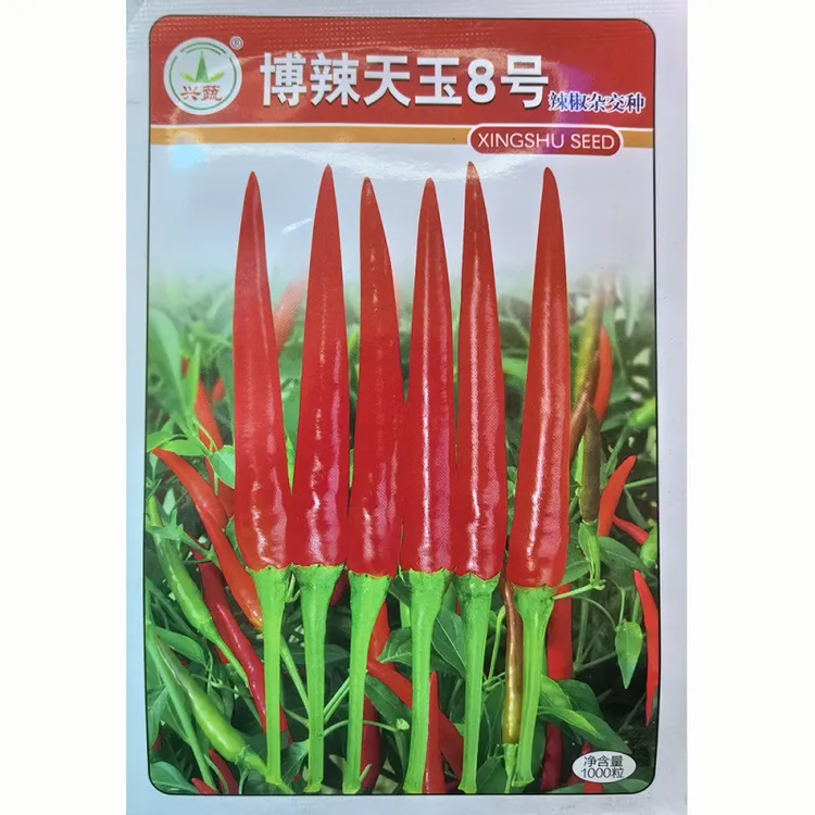 博辣天玉8号 辣椒种子原厂原装正品大果型单生硬度好朝天椒种子孑