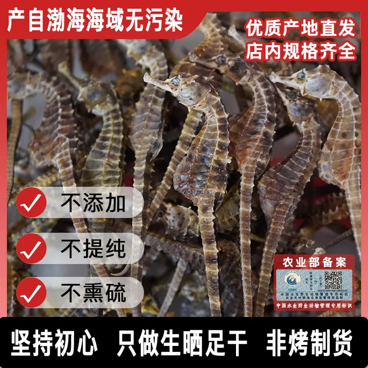 【源头直发】正品保真公母搭配足干海干货马馬适合煲汤泡酒海马干货