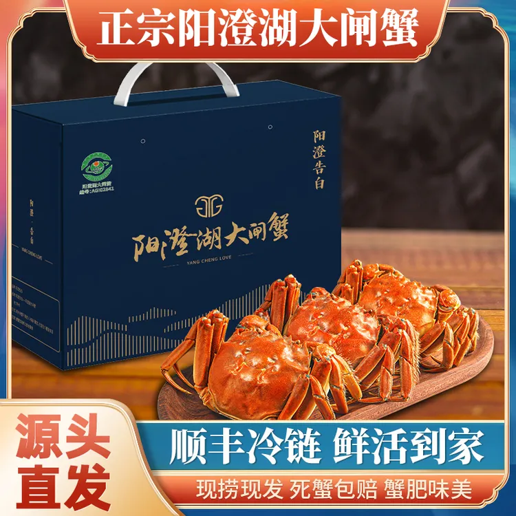 【活蟹】阳澄湖大闸蟹精挑全母净重3.5两8只/10只装阳澄告白塘蟹   