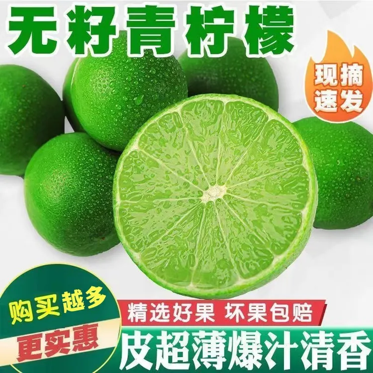 无籽柠檬塔希提皮薄多汁现摘现发新鲜维C柠檬夏日清凉饮品1-9斤