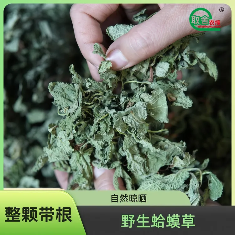 取舍农缘野生蛤蟆草枣荔枝草整颗带根蟾蜍草雪见草干品蛤蟆菜泡水