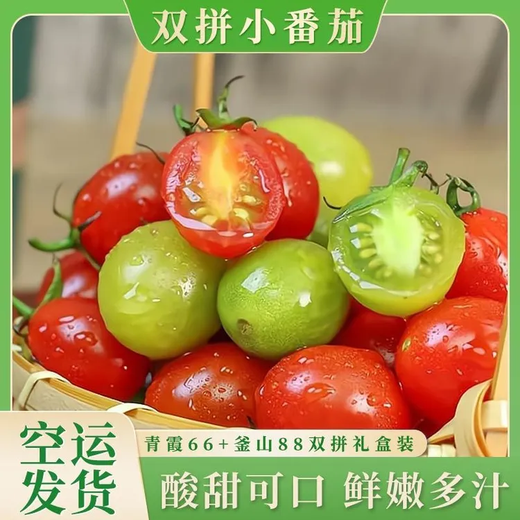 【顺丰/京东空运】新疆双拼小番茄礼盒青霞66釜山88新鲜产地直发