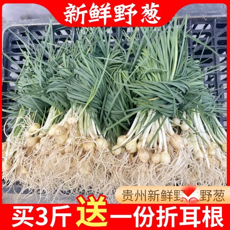 贵州新鲜土特产现挖野葱野菜野蒜苦蒜小根蒜香葱现挖现发500g