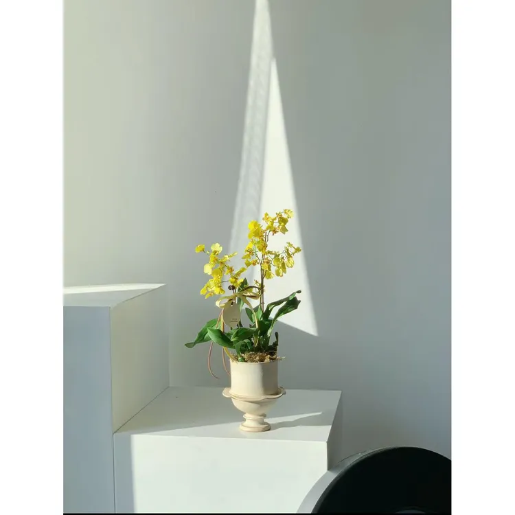 奶油黄花盆ins简约高脚花器景德镇手工绿植花盆栽。有孔