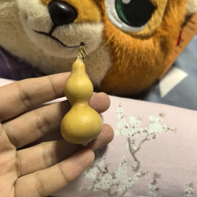 天然带龙头小葫芦手把件可盘玩的文玩福禄葫芦