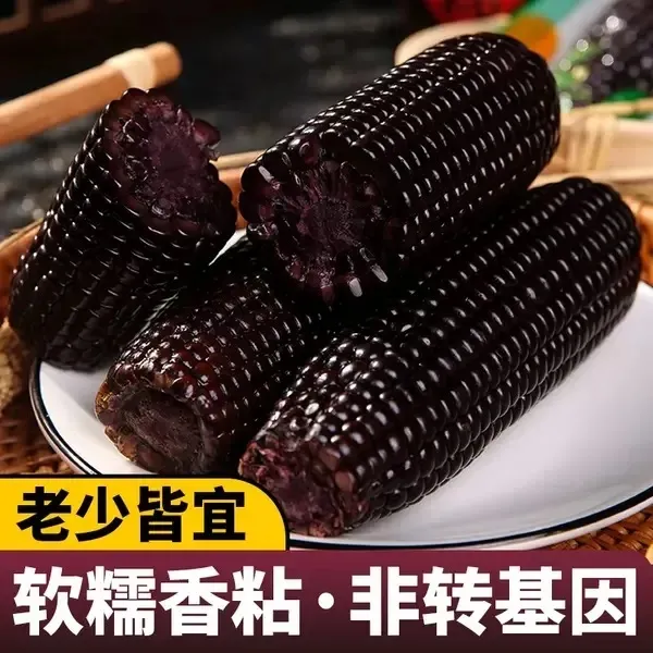 试吃2支东北黑玉米糯玉米粘糯8支