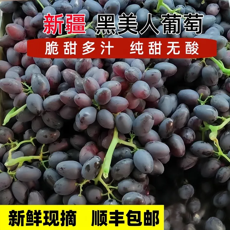 正宗新疆头茬黑美人葡萄4斤装香甜多汁顺丰包邮应水果当季热卖