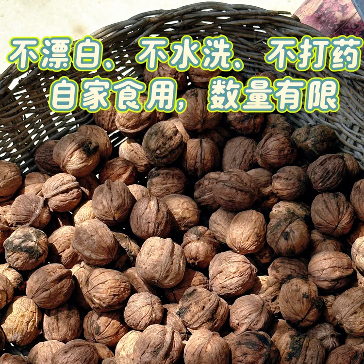 25年新货青皮山里老树核桃干果干核桃原色原味零食无添加山核桃