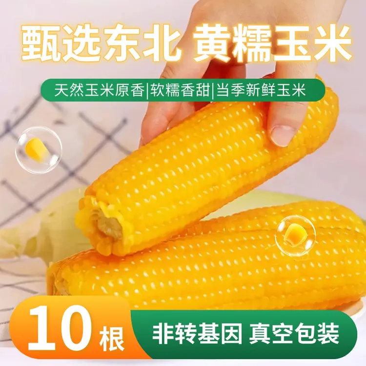 【东方玉米甄选】黄糯玉米10根*250g农家粗粮粘糯代餐玉米真空锁鲜