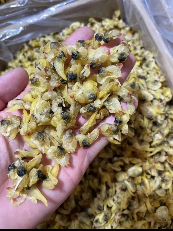 （信和臻选）闽南海鲜淡干花蛤干可爆炒煲汤