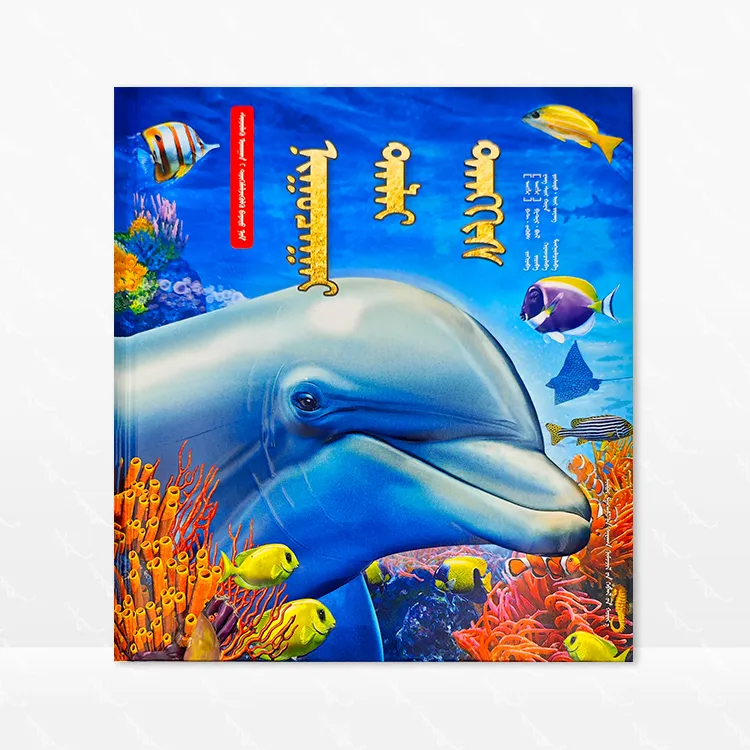 科普立体书 神秘海洋 蒙古文 英 帕特 雅各布斯 内蒙古教育出版社