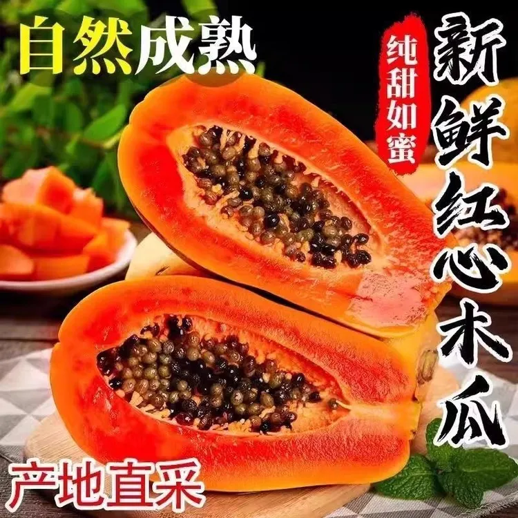 【广西红心牛奶木瓜】新鲜当季水果细腻软糯树上自然熟甜商品图