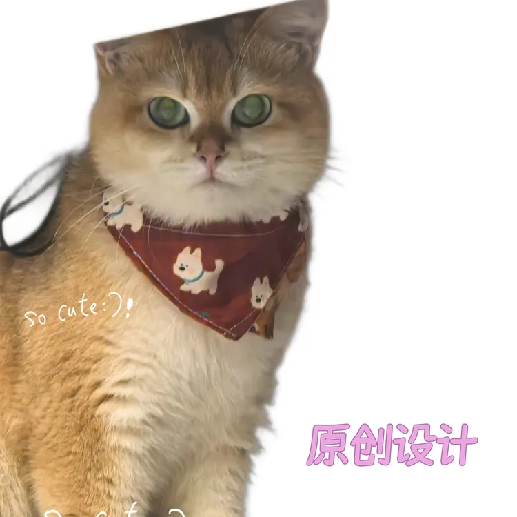 可爱猫咪狗狗宠物围脖口水巾时尚夏季小型犬适用装饰卡通可爱风
