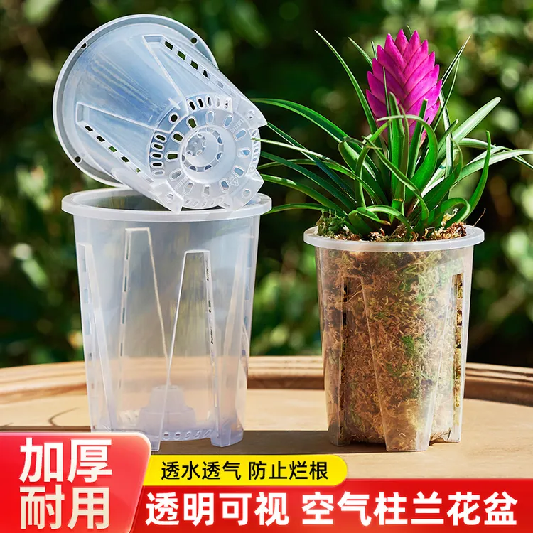 【发6个盆】蝴蝶兰专用透气控根花盆塑料透明加厚镂空设计