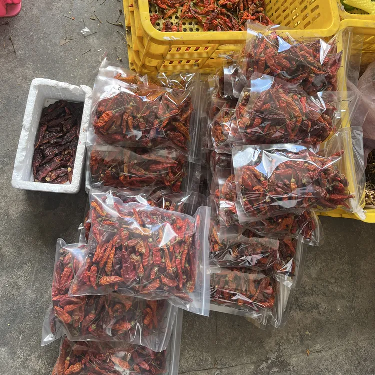 郴州文明本地干特辣黄红泡椒野山椒小米辣