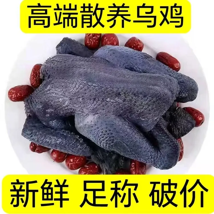 【买一发三】农家散养白凤乌骨鸡新鲜现杀整只生鲜煲汤滋补月子鸡