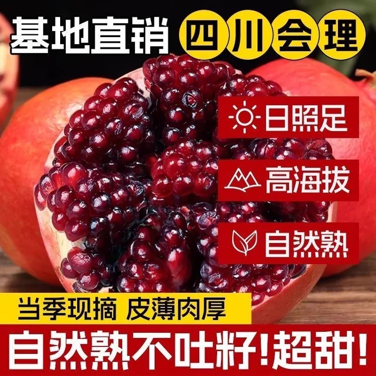 《抢购净重5斤》突尼斯软籽四川会理软籽当季石榴软籽石榴