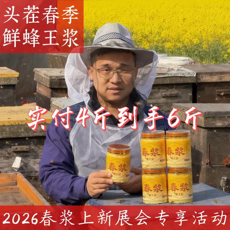 勤蜂2026春季油菜花鲜蜂王浆4斤有大活动锁鲜-18 ℃顺丰原产地直发商品图