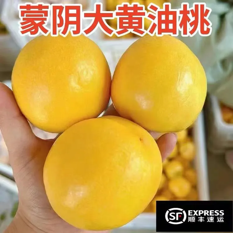 【顺丰包邮】山东蒙阴新鲜黄皮黄肉油桃现摘现发4.5斤整箱包邮