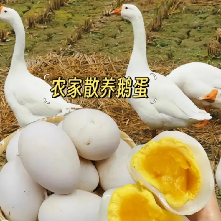 新鲜河套大鹅蛋(到货从蛋托取出保鲜储存)