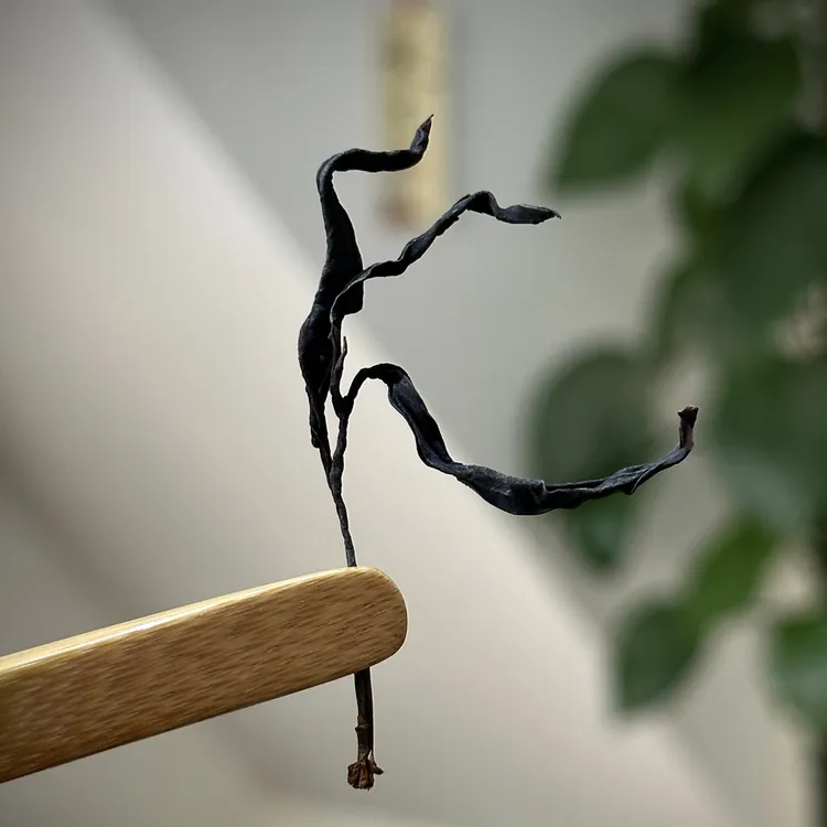 【野生古树红茶】2025年野生古树红茶 250克