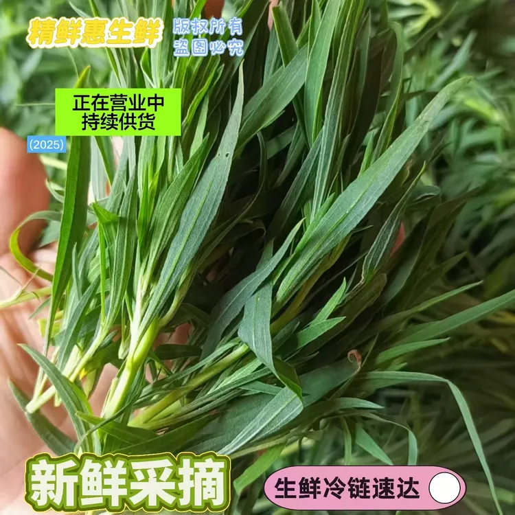 2025新棵扫帚菜地肤子嫩尖叶，地道农家味儿时小味道