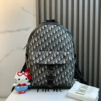 99新/包包/迪奥/250511zb0047