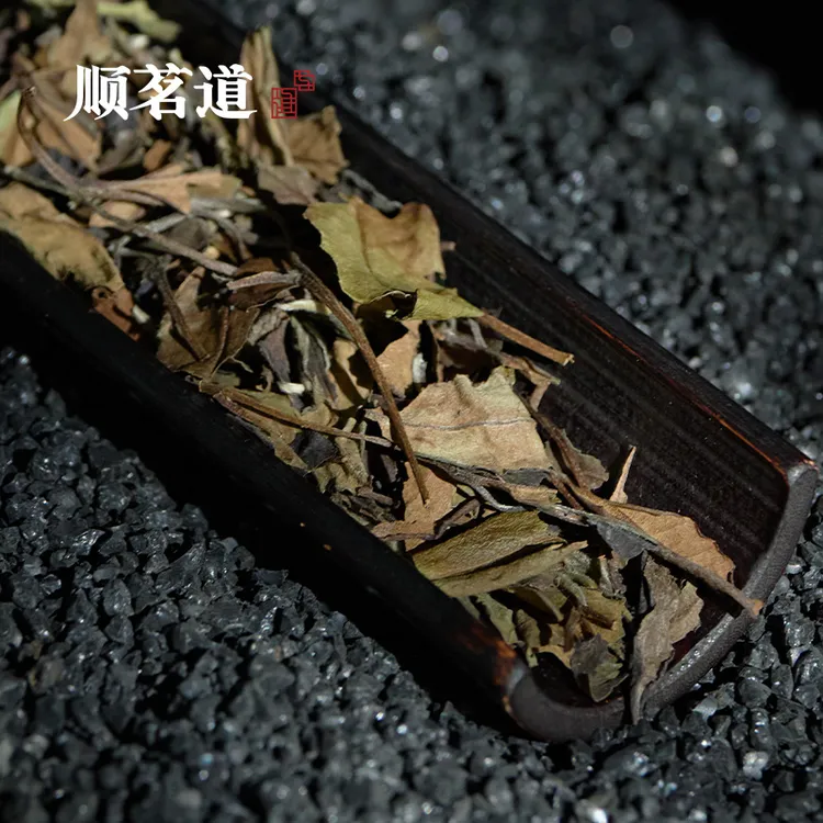 福鼎白茶2016年老树寿眉 福鼎白茶散茶10g品鉴盒装茶叶