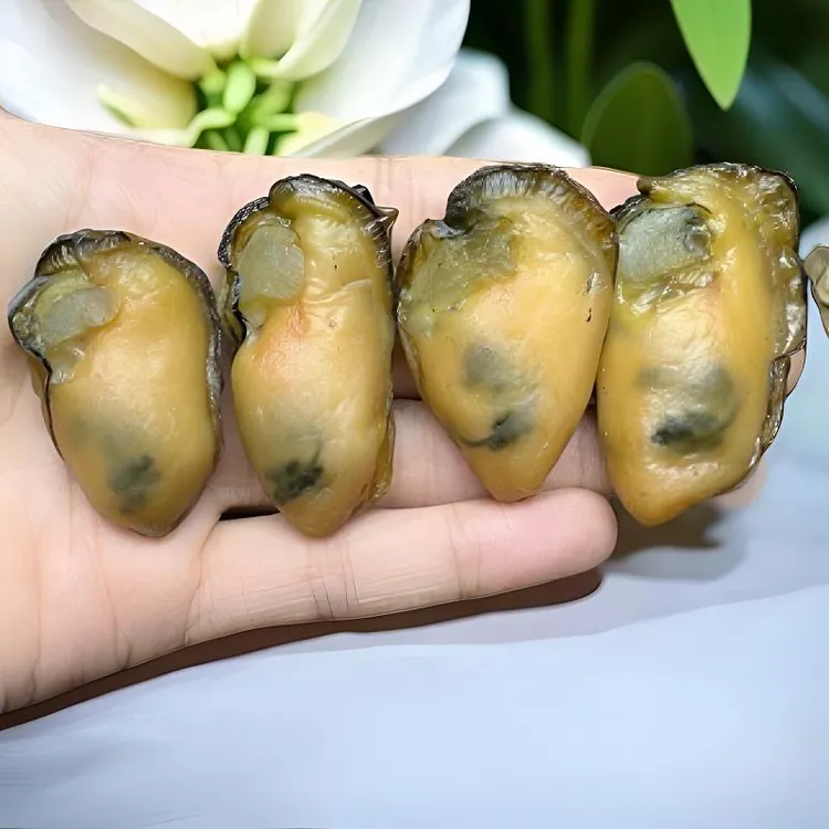 【台山金蚝干】45头左右 5-6成干 生晒 无抽油 速冻冷链发货