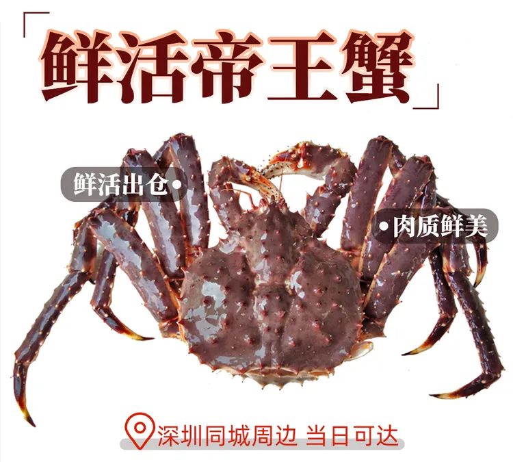 【活发活到广东包活】3.5斤左右俄罗斯帝王蟹网红蟹活发包鲜