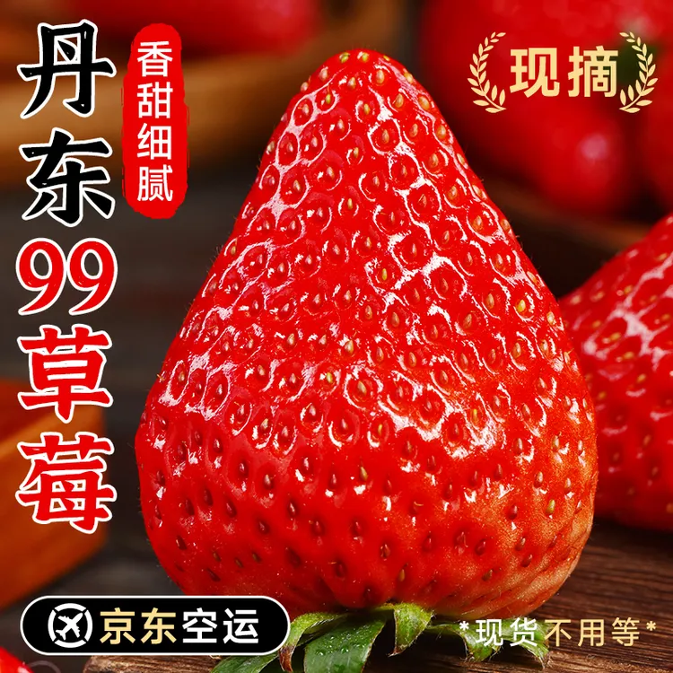 丹东草莓新鲜水果99草莓红颜奶油九九甜牛奶草莓礼盒正宗大果空运