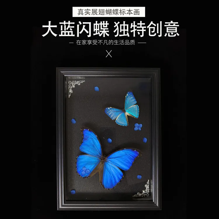天然蝴蝶标本艺术收藏玻璃造景高档欧式画框家居装饰