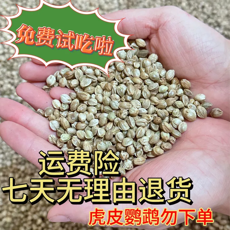鹦鹉训练增肥小零食大颗粒纸皮麻子