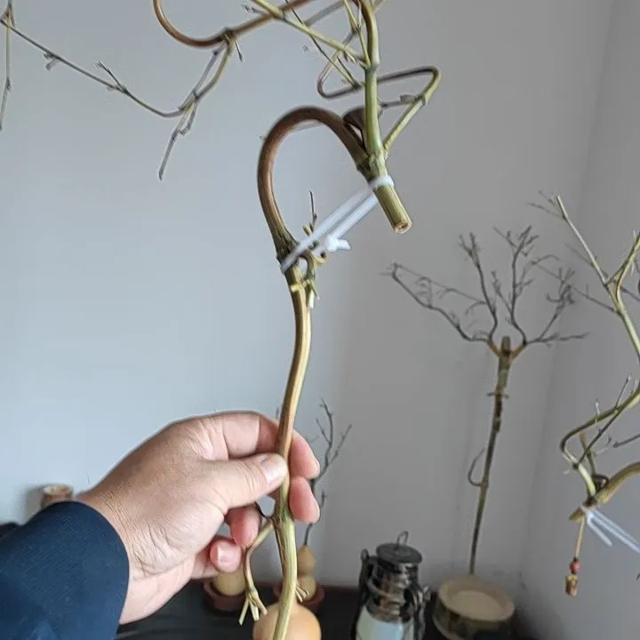 龙挂香龙头架子竹竹架竹子龙头香挂架倒流香家用檀香炉竹龙头香架