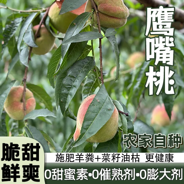 【自产自销】正宗新鲜甜脆鹰嘴桃云南蒙自脆桃大桃子水果硬脆甜现摘