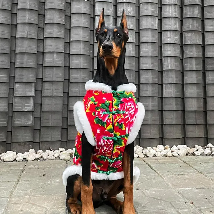 大狗狗服装除夕夜服装杜宾犬边境牧羊犬新年保暖袄衣服加厚冬装