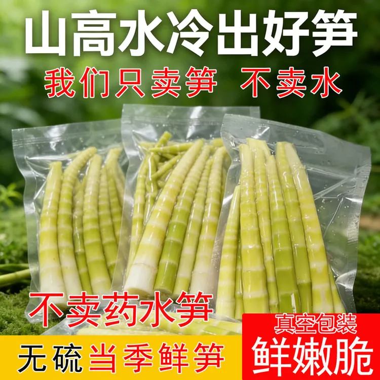 方竹笋当季现采小野笋高山新鲜竹笋脆嫩火锅串串凉拌菜食材熊猫笋