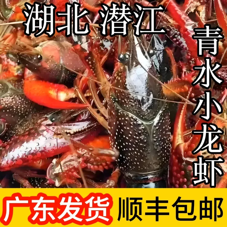 鲜活小龙虾肉质鲜嫩清水养殖时令美味顺丰到家