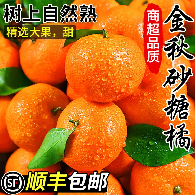 正宗广西金秋砂糖橘纯甜无酸当季头茬新鲜水果整箱无籽小沙糖桔子