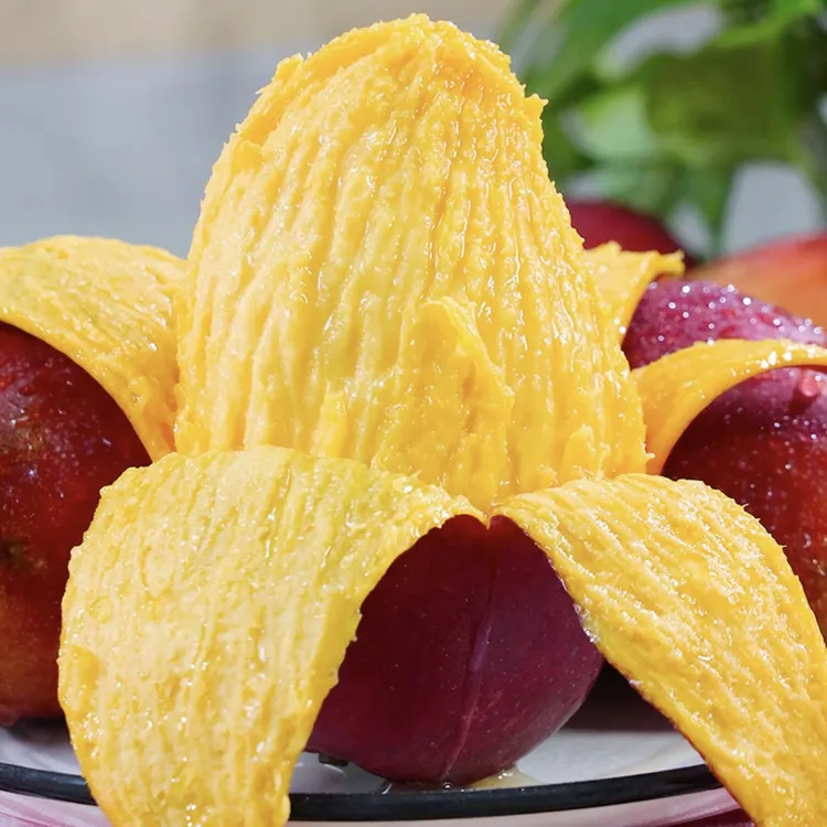 正宗攀枝花芒果彩虹芒果新世纪净重4.5斤8.5斤攀枝花昆明两仓发货