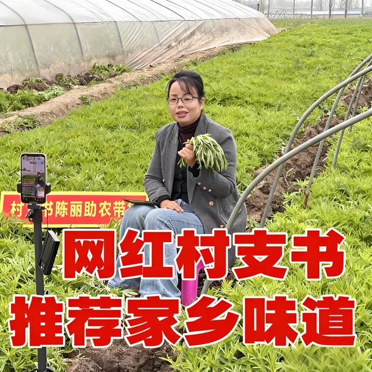 【村支书推荐】孝感新鲜脆嫩的藜蒿湖北藜蒿开园啦