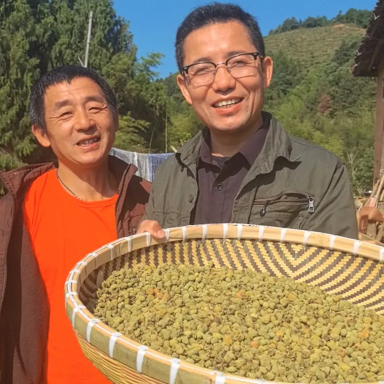 正宗华东覆盆子2025浙江阳边正宗高山掌叶覆盆子150g一罐