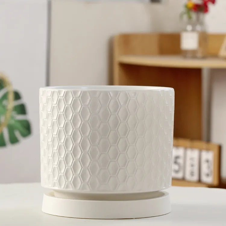 简约高颜值轻奢花盆家居个性蝴蝶兰发财树兰花百搭桌面大口径花盆