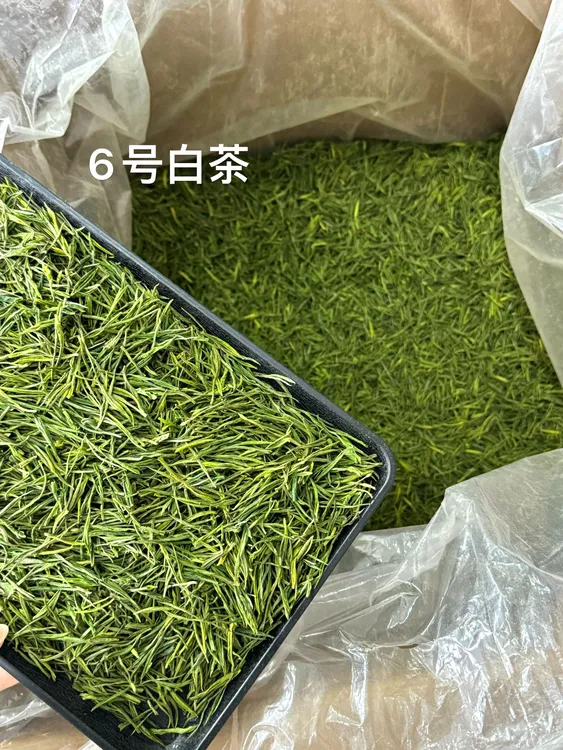 【6号白茶】2025明前白茶浙江高山白茶绿茶一芽二三叶罐装礼盒装