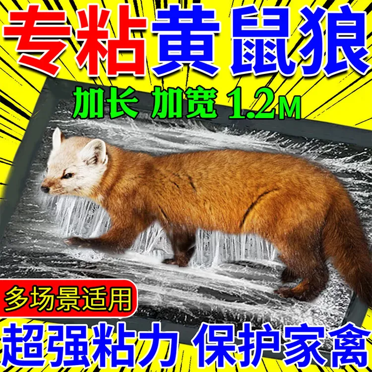 黄鼠狼粘捕神驱赶鸡舍养殖场果园器黄鼠狼克专用防鼠粘鼠用魔毯星
