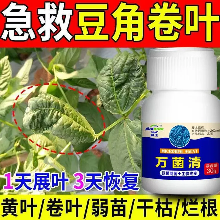 豆角专用花叶卷叶黄叶病豆角病毒病专用药豆角专用